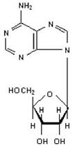 Adenosine Structural Formula